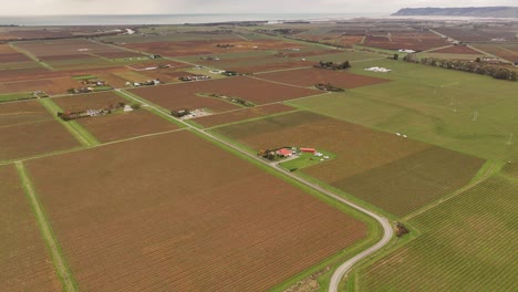 agricultural and cultivated farm fields in blenheim, new zealand. cloudy day in the evening. aerial wide shot. farmsteads with large property between fields in rural area
