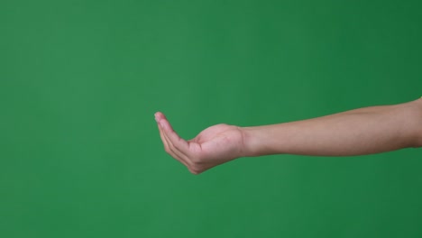 man showing cupped palm of hands over green screen