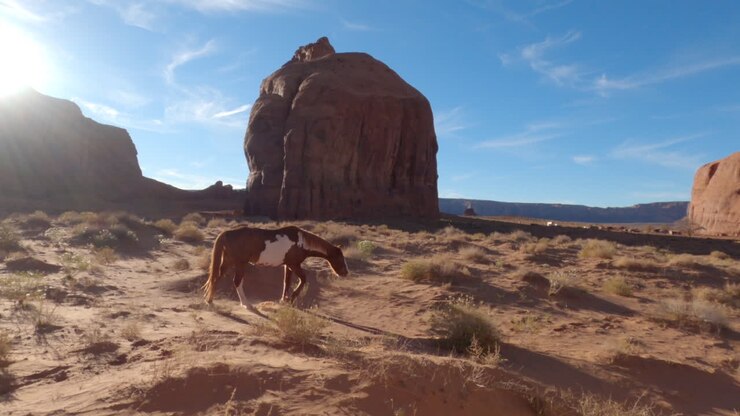 A panning shot of a group of horses at monument valley, Arizona, United States