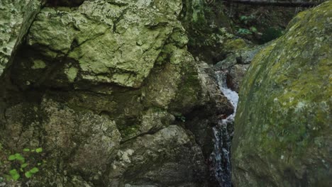 mossy rocks and small stream in japanese forest