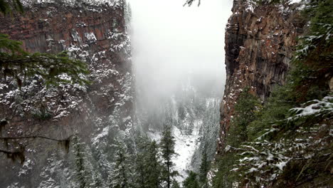 looking down steep cliff into a valley of pine trees surrounded by mist