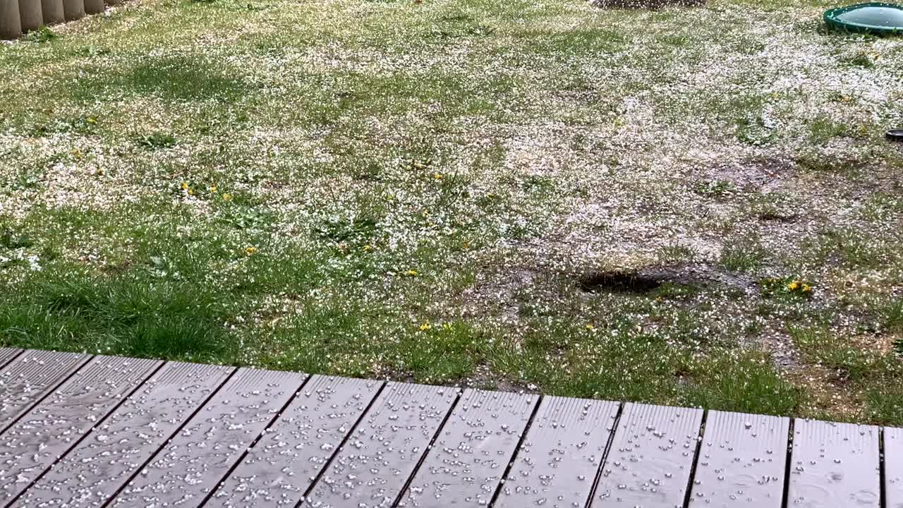 a hailstorm comes down in a garden