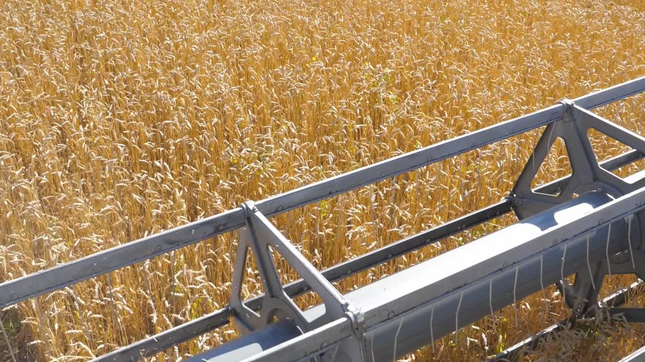 Wheat Harvest in Progress