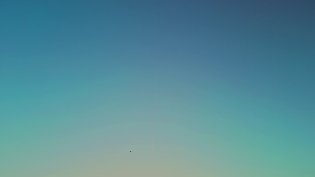 푸른 하늘 아래의 조류 비행과 호수 위의 해가 지는 것