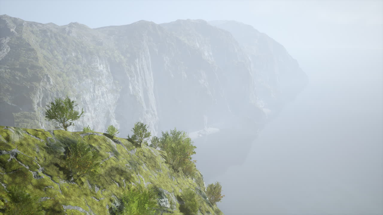 serenos acantilados costeros en la niebla