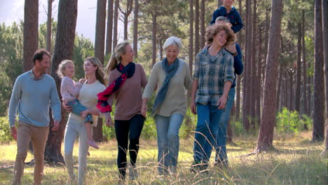 familia de varias generaciones con cuatro hermanos caminando al aire libre