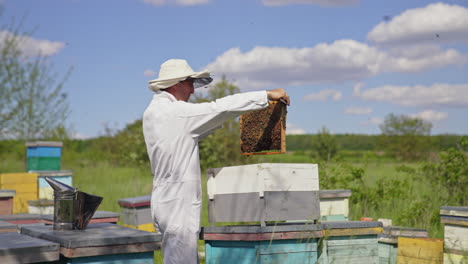 beekeeper at work on the apiary. beekeeper holds a honey frame with bees in hands. man apiarist taking out frame with bees from the hive.