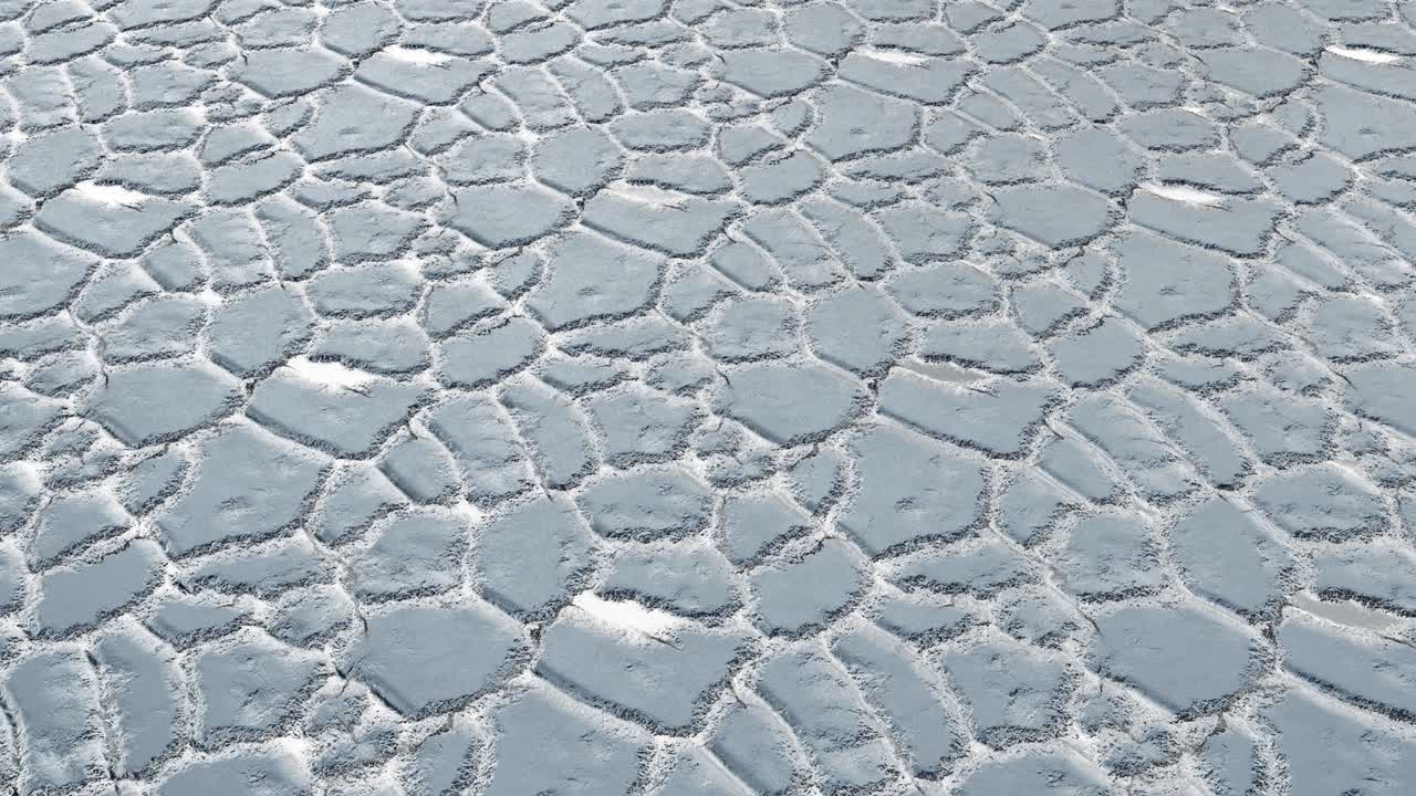 돌판 위에 떠다니고