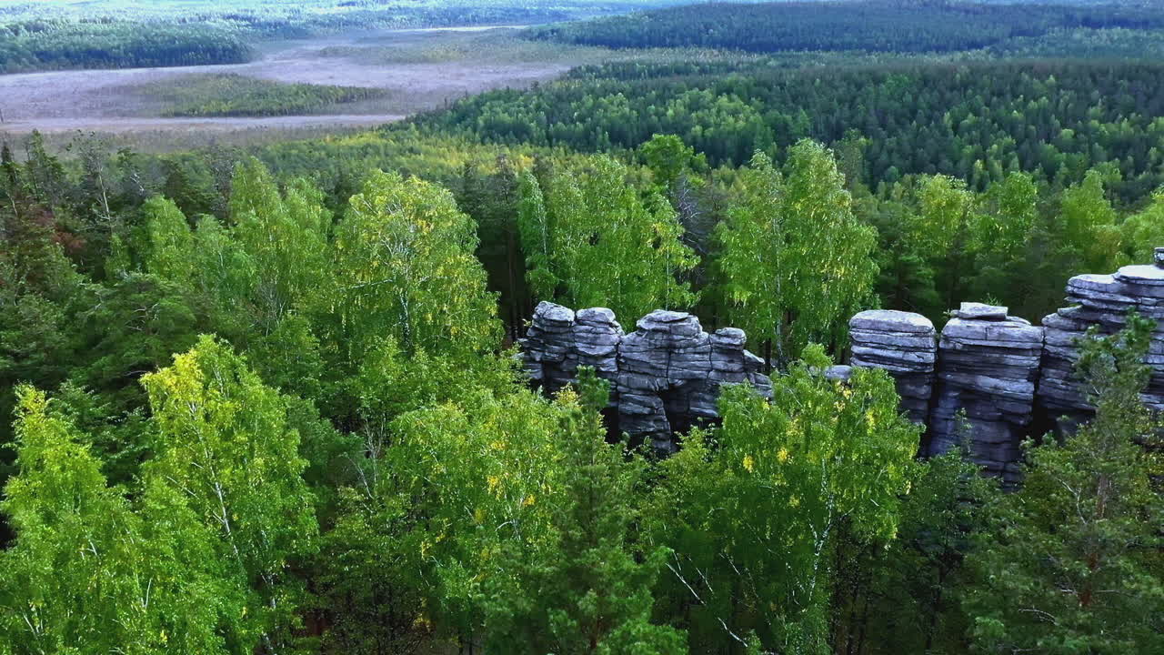 Forest with rock formations aerial view