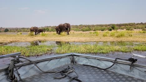 el horizonte del safari en el parque nacional de chobe en kasane, botswana