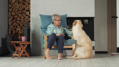 mujer y perro golden retriever en la sala de estar