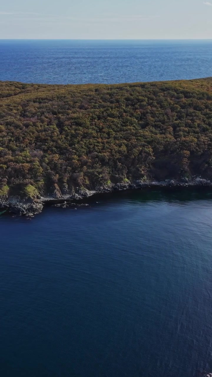 Vista aerea di un sereno paesaggio costiero con vegetazione lussureggiante