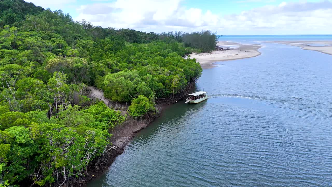 Aerial view of tour boat navigating mangrove-lined river, lush rainforest, bright daylight, smooth camera movement