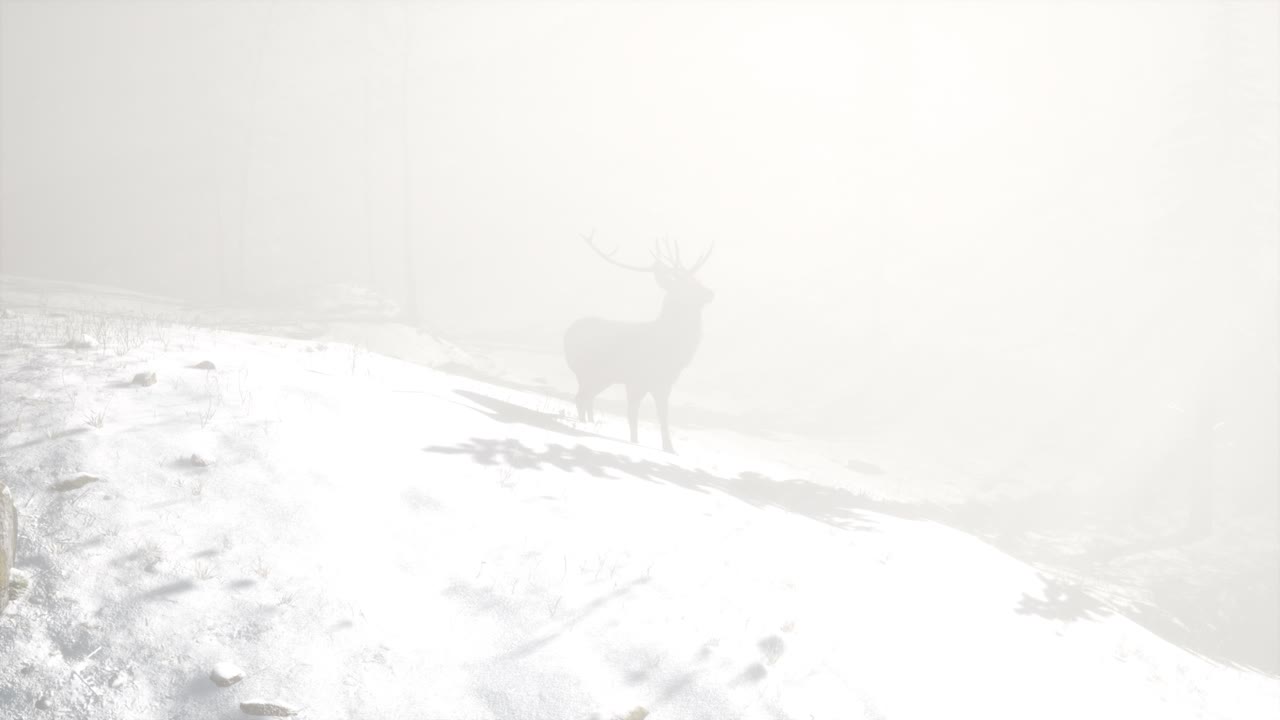 гордый олень в зимнем снежном лесу.