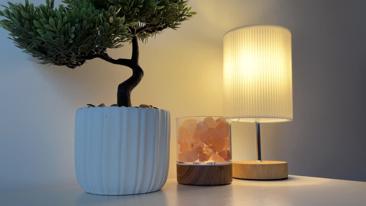 Homme allumant une lampe de bureau tactile avec des mini-plantes, un bonsaï, un poste de travail minimaliste, une lampe de sel gemme confortable
