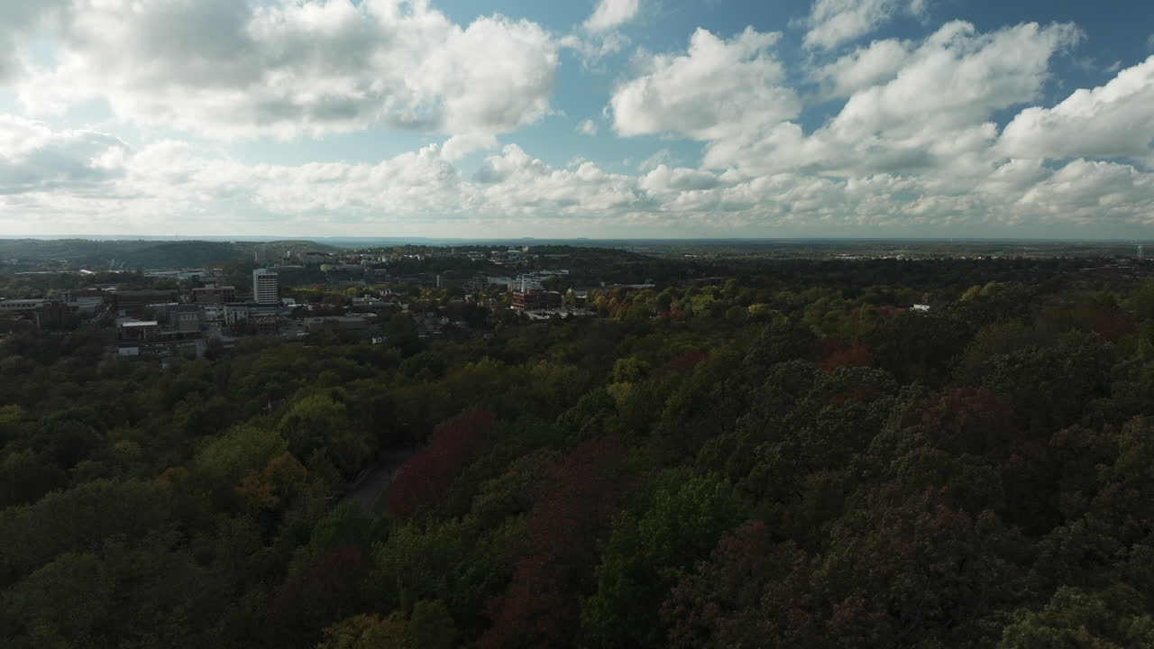 미국 아칸소 주 파예트빌 근처의 산에서 울창한 가을 숲 나무