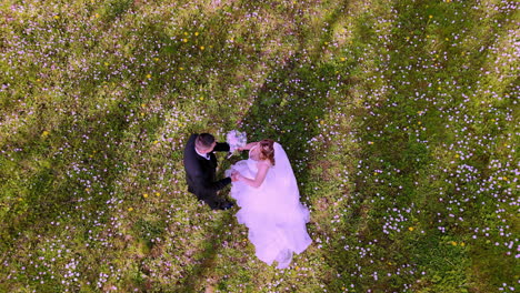 From an aerial perspective, a bride in a flowing white gown and a groom in a dark suit walk together through a grassy field filled with tiny wildflowers, symbolizing love, unity