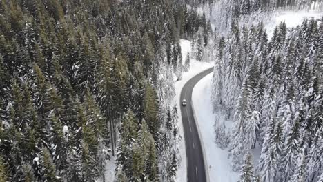 curvy windy road in snow covered forest, top down aerial view-6