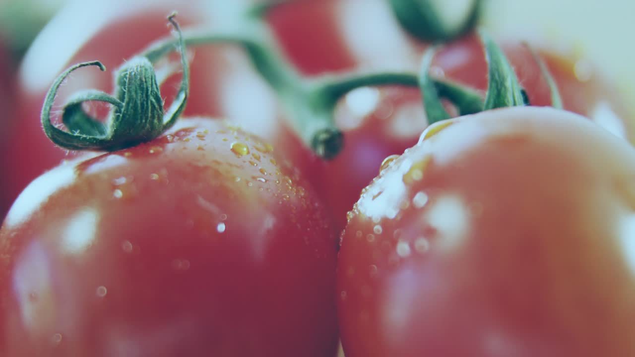 World map fading in over tomato cluster, adding layers, lighting nodes, visualizing trade