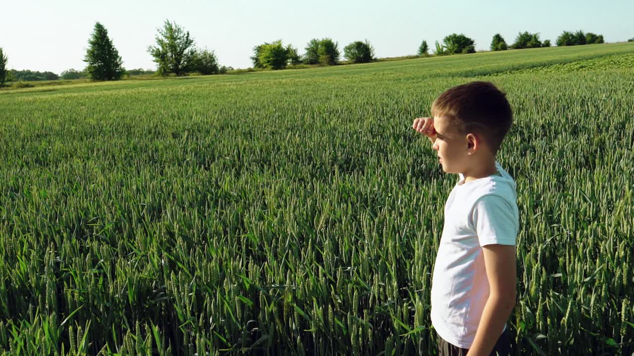 boy running on the green field at sunset