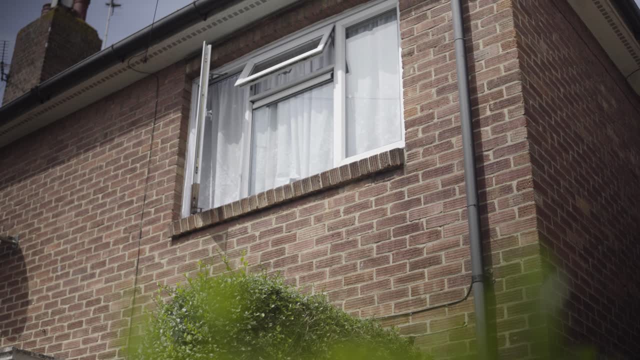 부시 파사드 뒤에 들어온다