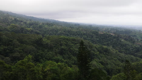 Ein-Blick-Auf-Den-Tropischen-Dickichtsdschungel-Vom-Verlassenen-Palasthotel-In-Bedugul,-Bali-Insel,-Indonesien