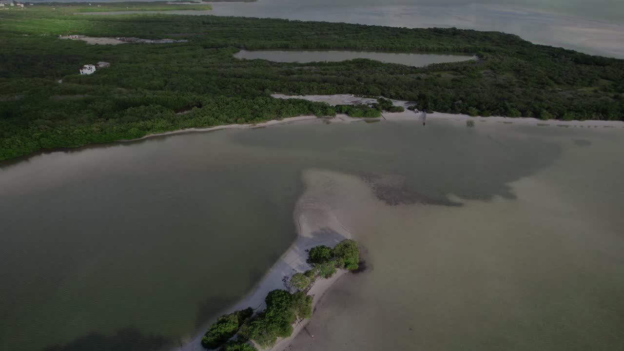 스페인 해안의 울창한 숲과 함께 평온한 바다의 드론
