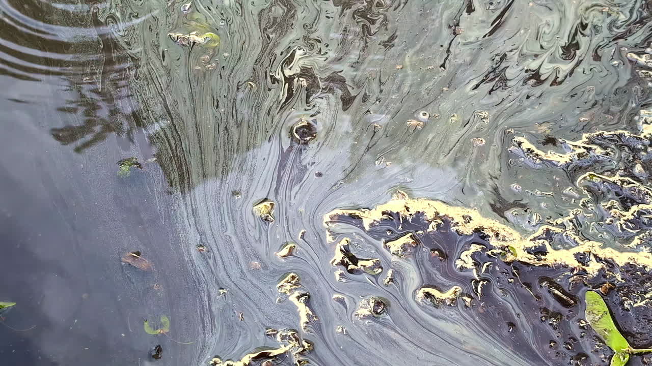 Intricate textures of ecological harm caused by oil contamination in water