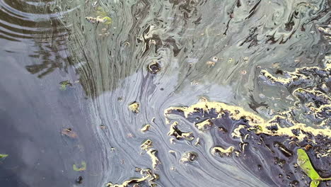 intricate textures of ecological harm caused by oil contamination in water