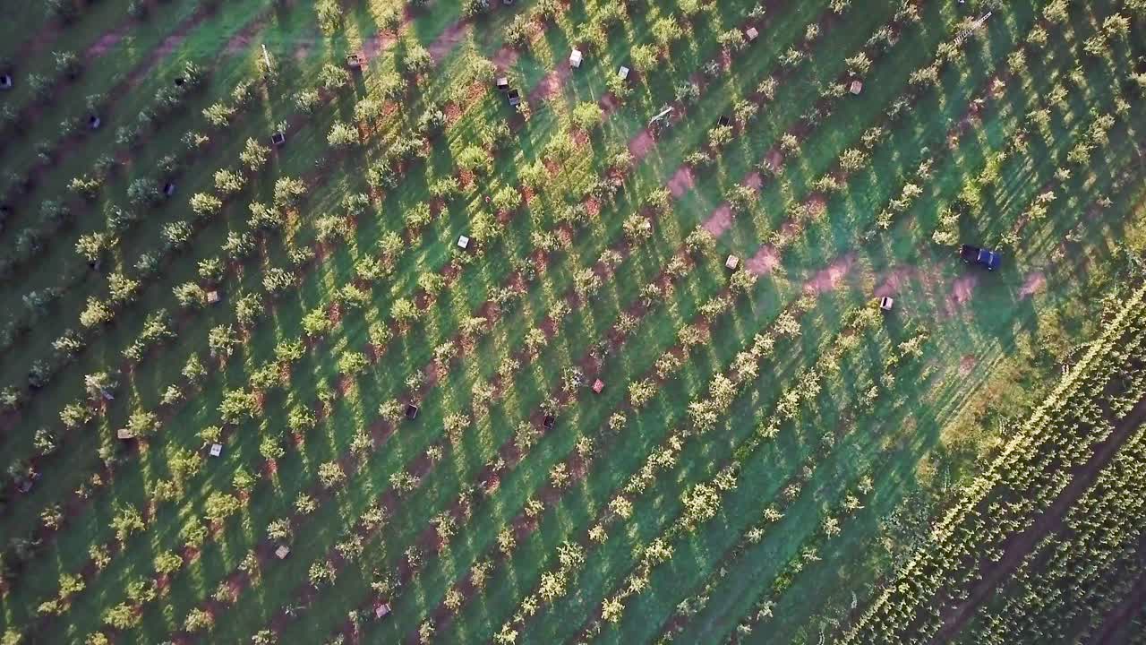 una vista aérea de un huerto