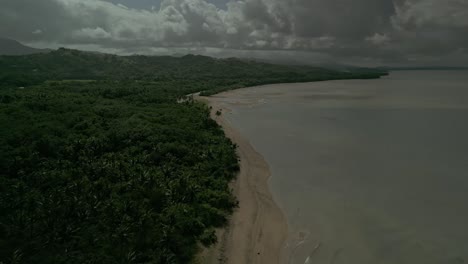 Bosque-Y-Playa-De-Arena-Junto-Al-Mar-En-Calma-En-Filipinas-Nubladas,-Amplia-Antena