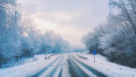 winter road through snow-covered trees