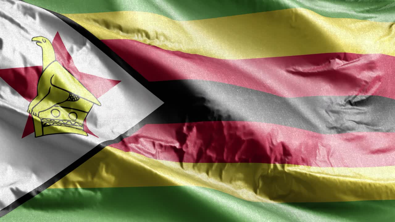 짐바브웨 발이 바람에 흔들리고, 짐바보 발은 바람에서 흔들리는, 직물 직물 조직은 완전히 채우는 배경, 10 초 루프.