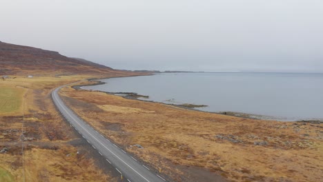 lonely road through the brown landscape of iceland by the lake -aerial