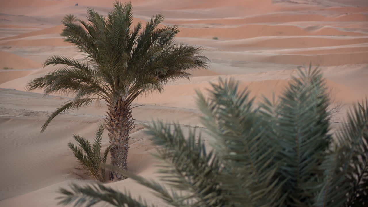 메르주가 사하라 사막 04