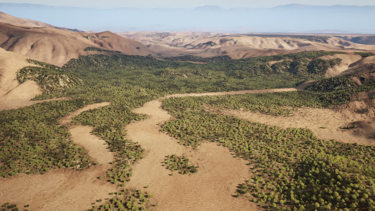 vista aérea de un paisaje desértico