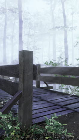 mystical forest bridge shrouded in mist with sunlight filtering through trees