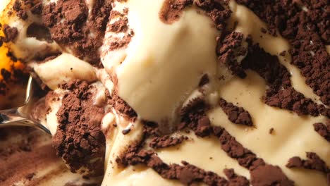 delicious tiramisu ice cream