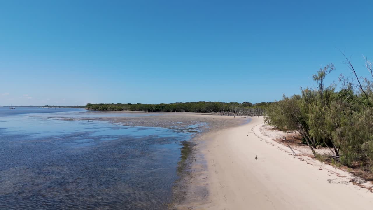 воздушный вид береговой линии, воды и растительности