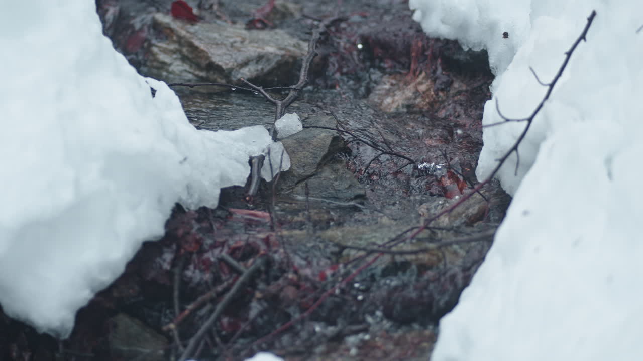 Snow-covered stream flowing through a forest in winter creating a serene and peaceful scene