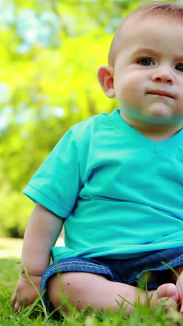 little baby boy sitting on the grass