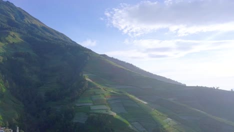 Aerial-backwards-shot-over-cultivation-plantation-fields-in-mountain-during-foggy-day