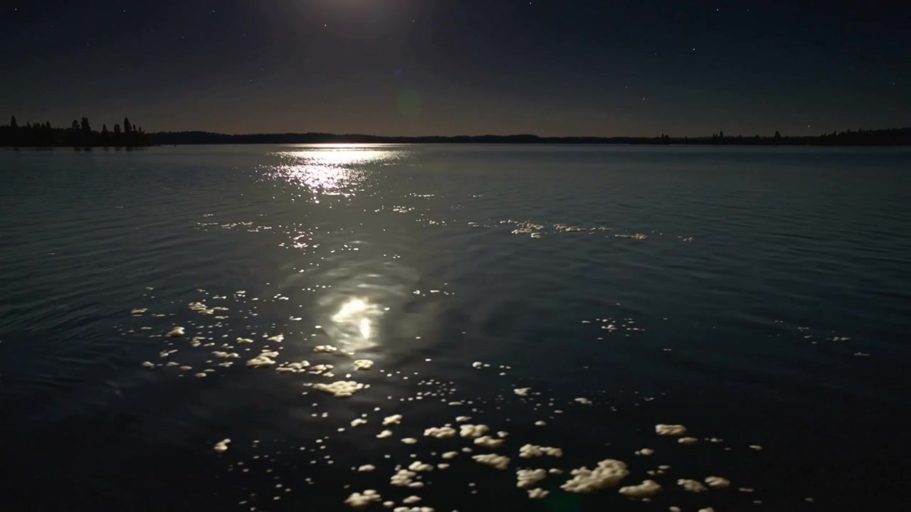 Brezza che increspa la superficie dell'acqua illuminata dalla luna sul lago di notte, mostrando chiazze di schiuma e la sagoma degli alberi.