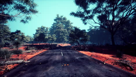 marcación de ruta recta a lo largo de un bosque alto