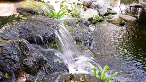 cascading waterfall over rocks into a calm pond