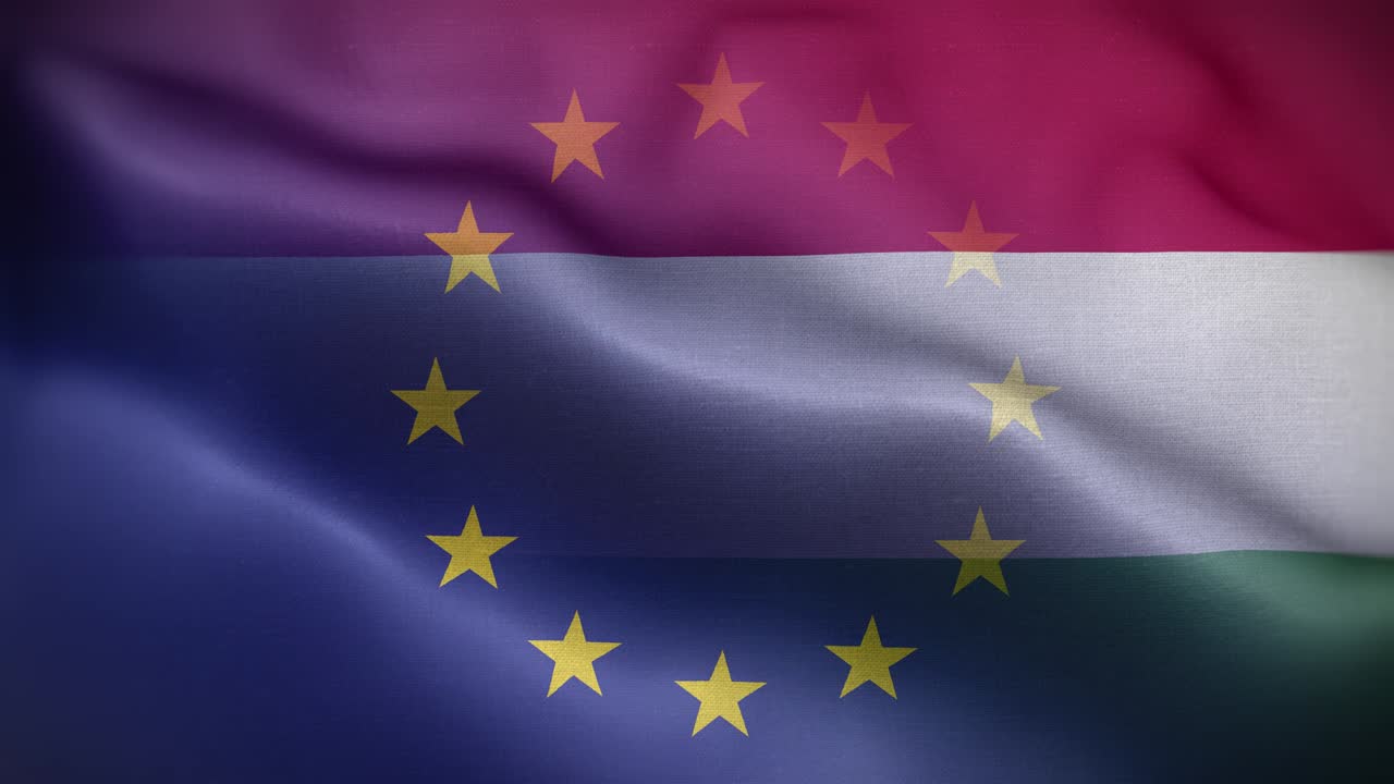 가리 발 루프 배경 4k