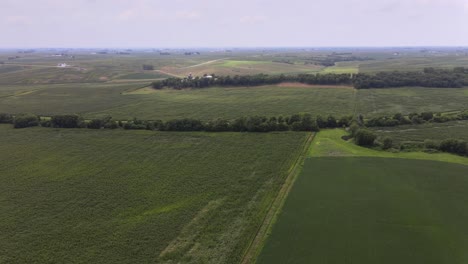 Aerial-Drone-Video-Of-Rich,-Green-Rural,-Agrarian-Agricultural-Farmland-Corn-And-Bean-Midwest-Heartland-Of-Iowa