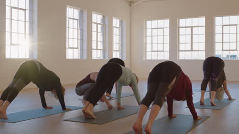 yoga class instructor teaching mature women practicing downward-facing dog pose enjoying healthy lifestyle in fitness studio at sunrise