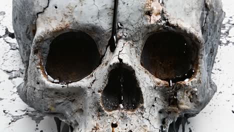 a skull with a cracked and cracked surface on a white background