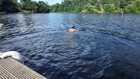 summer day diving from a jetty into river within nature
